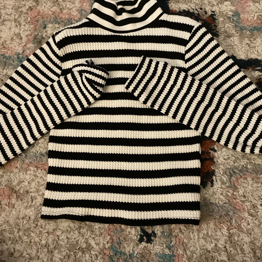 Black and White Striped Turtleneck Sweater aerie
